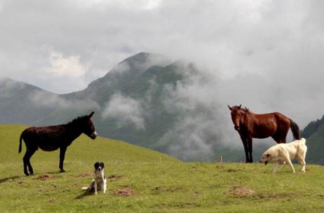Gruzijos gamtos grožis - fotografo Martyno Siruso nuotraukų parodoje Klaipėdoje