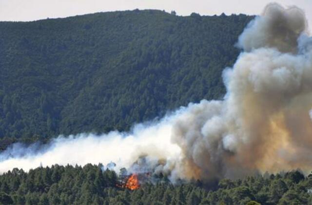 Kanarų salose siautėja nekontroliuojami miškų gaisrai