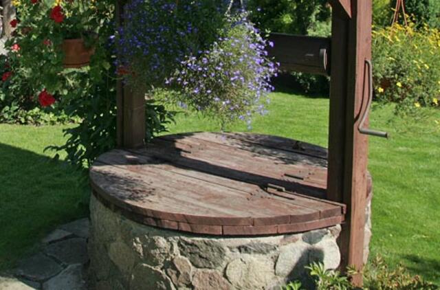 Specialistai: nešvariausias vanduo - šuliniuose