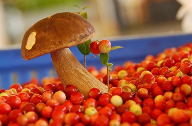 Vaisiai ir daržovės: ką ir kaip rinktis?