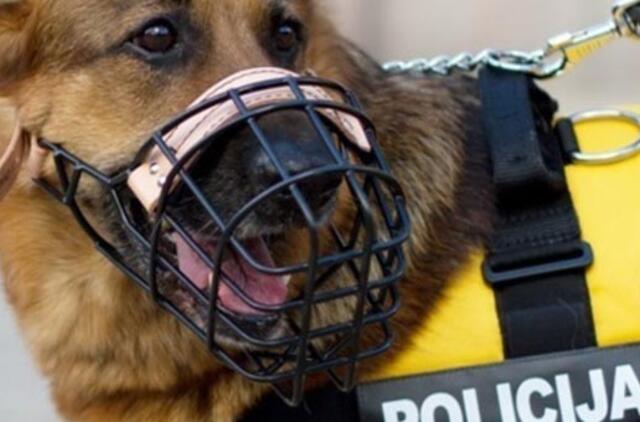 Alkoholio ištroškusį parduotuvės plėšiką padėjo sulaikyti aviganė Ada