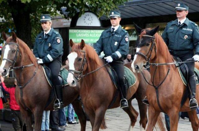 Girtas Lady Gagos gerbėjas smogė per snukį policijos žirgui