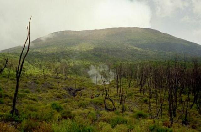 Kongo Demokratinėje Respublikoje žuvo apie 60 šachtininkų