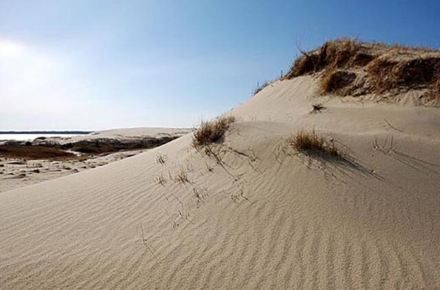 Kuršių nerija pirmauja Baltijos jūros stebuklų rinkimuose