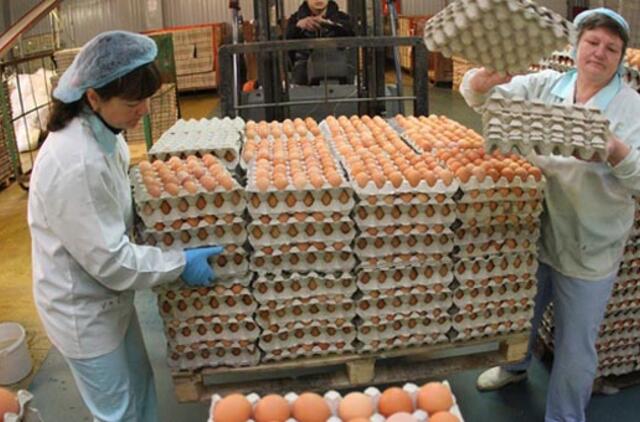 Paukštynai ruošiasi branginti produkciją