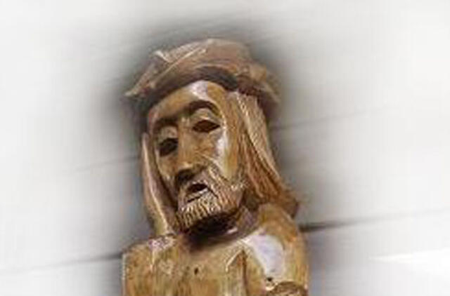 Sulaikytas mene "besispecializuojantis" vagišius