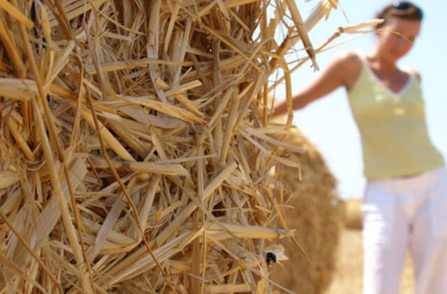 Brangias dujas keičia šiaudų granulėmis