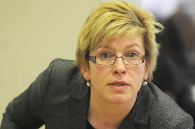 I.Šimonytė: Vyriasusybė nekurs pigių kainų parduotuvių