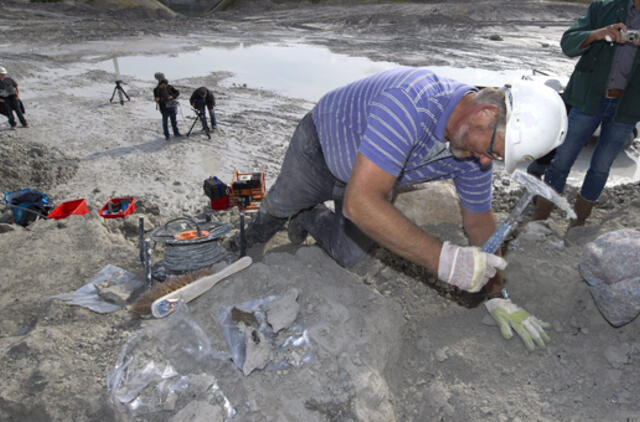 Nyderlanduose aptiktas prieš 68 mln. metų gyvenusio roplio skeletas