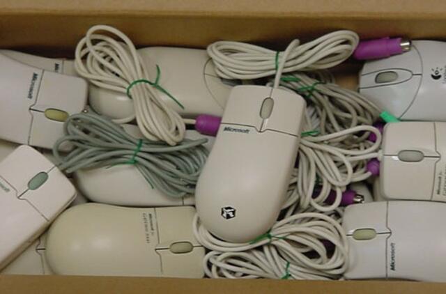 Užsienyje gyvenantys piliečiai balsuoti internetu negalės