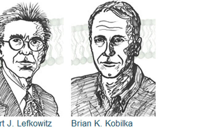 2012 metų Nobelio chemijos premija skirta dviem mokslininkams