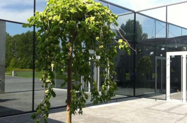 Krematoriume bus atliekama planinė patikra