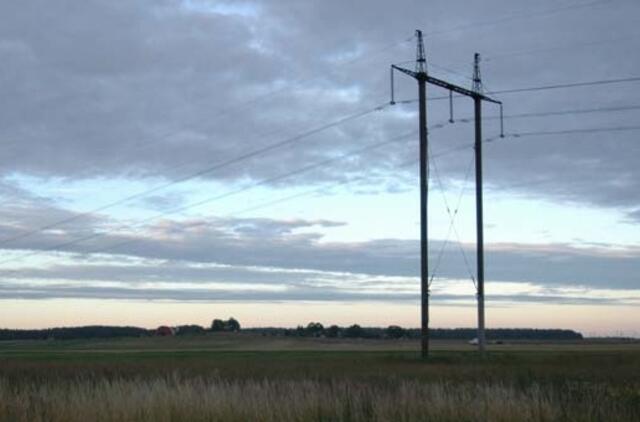 "Lesto" paskelbė ekstremalią situaciją