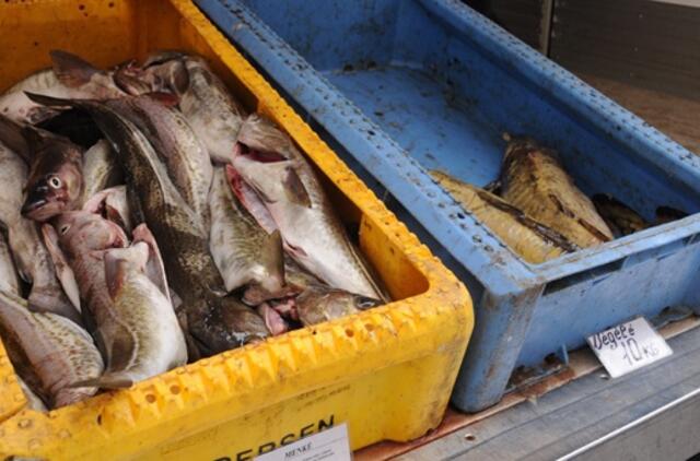 Lietuviškas žuvis netrukus valgys ir rusai