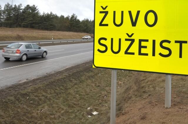 Per savaitę Lietuvos keliuose žuvo penki žmonės