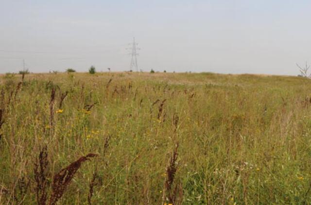Prieš parduodant žemę, apie sandorį reikės pranešti kaimynams