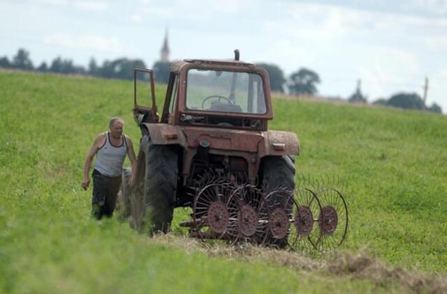 Savivaldybių reitingas pagal žemės ūkio veiklą: darbas ūkiuose nėra normalus