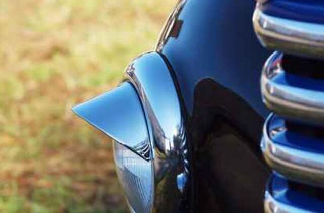 Šuo 17 kilometrų vėžinosi po automobilio priekinėmis grotelėmis