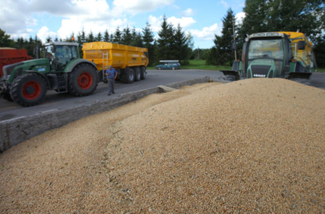 BVP išaugo pusketvirto procento, labiausiai – dėl rekordinio derliaus žemės ūkyje