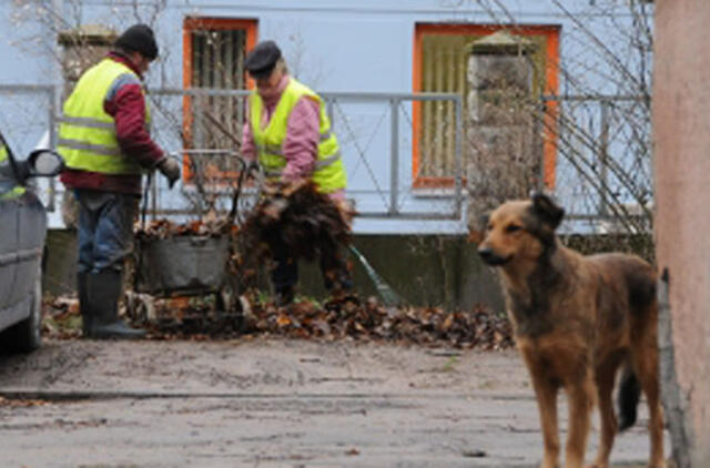 Darbo trūksta labiau nei šiltų batų