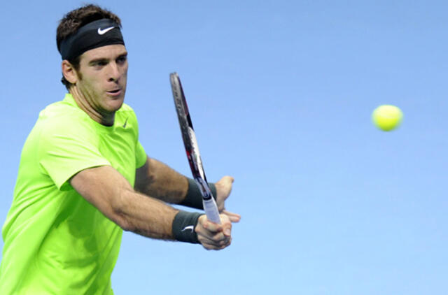 Finaliniame ATP sezono turnyre - argentiniečio Ch. M. del Potro pergalė