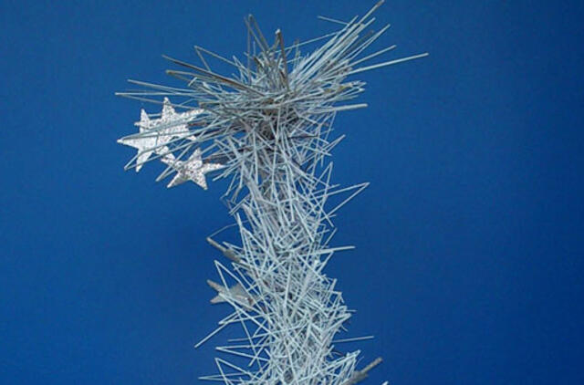 Kalėdinių stebukliukų - pas floristą