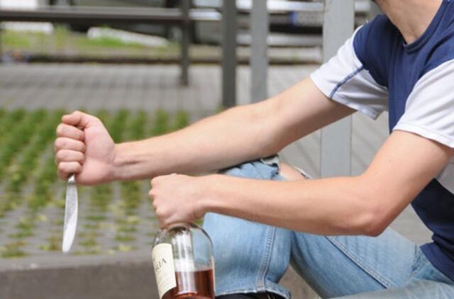 Nusikaltimų žemėlapis padės apsispręsti renkantis gyvenamąją vietą