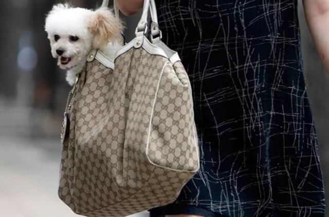 Rankinių plėšikų gaujos – vieni nuteisti, kiti bausmių dar sulauks