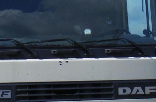 Seksualios linksmybės vilkike baigėsi liūdnai