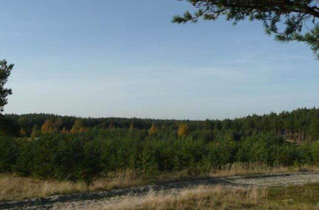 Galime netekti tokios Kuršių nerijos, kokią esame įpratę matyti