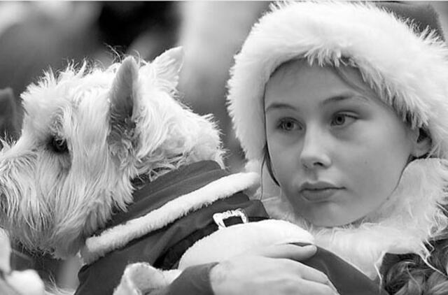 Ką mums reiškia Kalėdų Senelis?Mokslinis požiūris