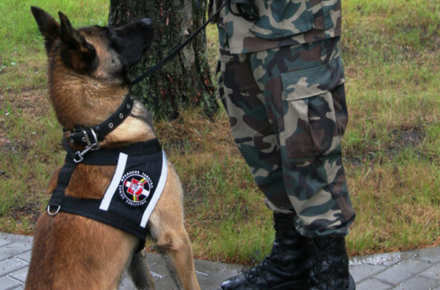 Po sniegu pasislėpusį įtariamą kontrabandininką aptiko pasieniečių aviganė