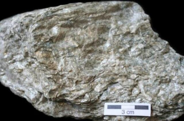 Trūksta informacijos apie skalūnų dujų gavybą