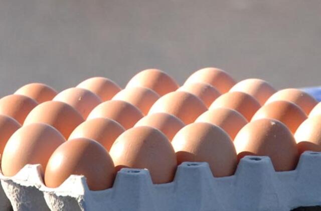 Tunisietis, suvalgęs 28 žalius kiaušinius, neišgyveno