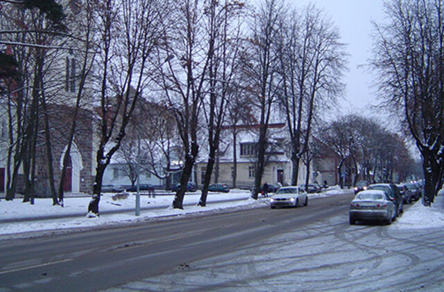 Vaizdo kameros Šilutėje: norai didesni už galimybes