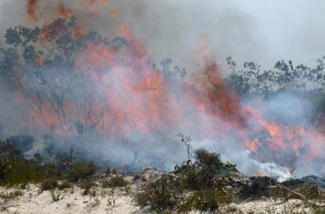 Vakarų Australiją siaubia krūmynų gaisrai