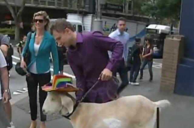 Australijos teismas išteisino... ožį