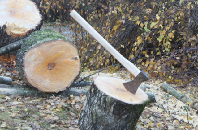 Brolį kirviu sužalojęs vyras tą pačią dieną pasikorė