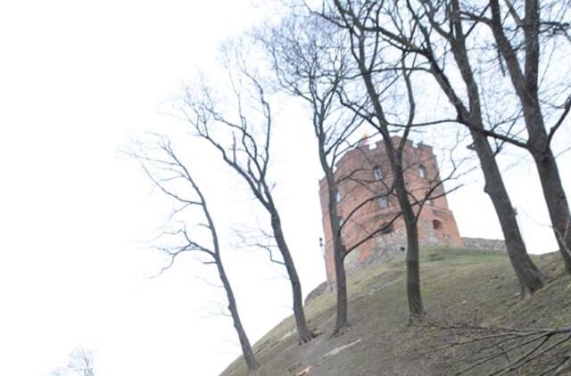 Ekonomistai: Vilnius gali bankrutuoti