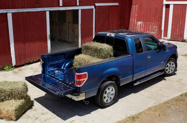 JAV geriausiai parduodamu automobiliu vėl tapo "Ford F-150"