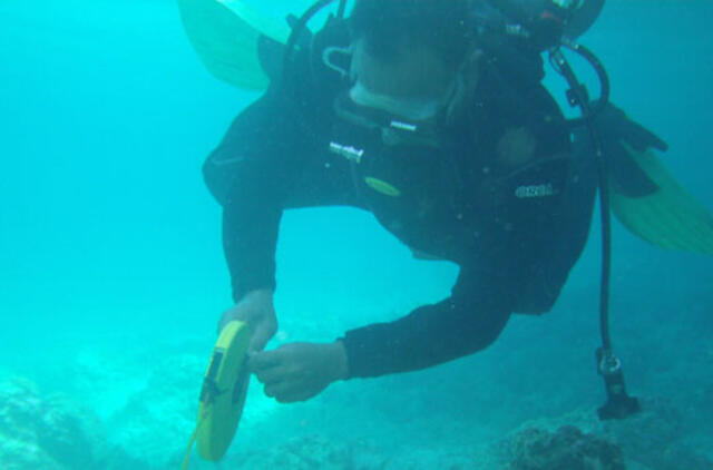 JAV karo laivas Filipinuose apgadino koralinį rifą