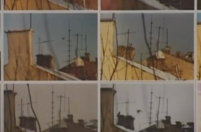 „Kasdienybės metamorfozes“ fiksavo pro virtuvės langą