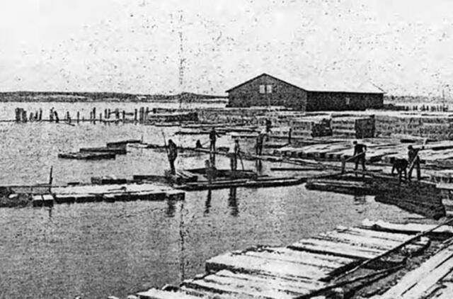 Klaipėdos akvarelės: namai ir žmonės (277)