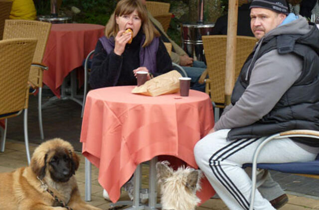 Kurorto maisto įmonės daro mažiau pažeidimų