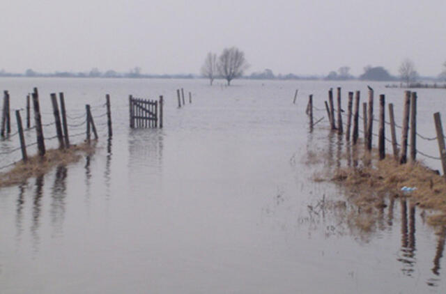 Nemuno žemupiu ritasi potvynio banga