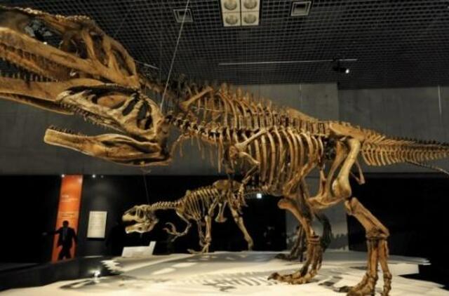 Net didžiausių dinozaurų smegenys buvo teniso kamuoliuko dydžio