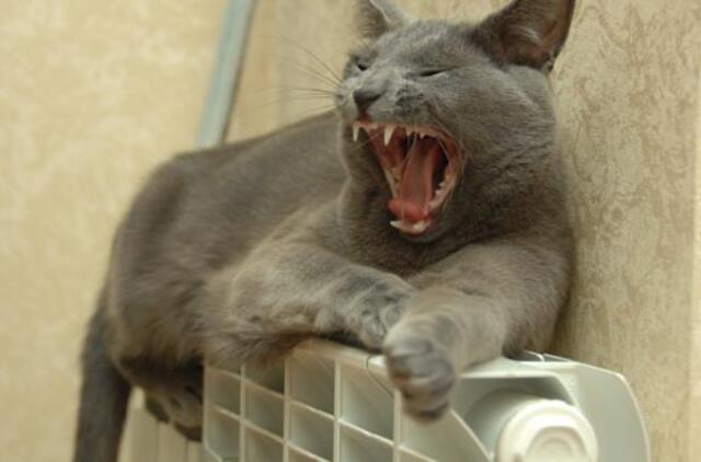 Skirtingi individualių namų šildymo būdai. Kurį pasirinkti?