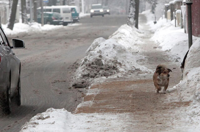 Termometras rodys pliusinę temperatūrą