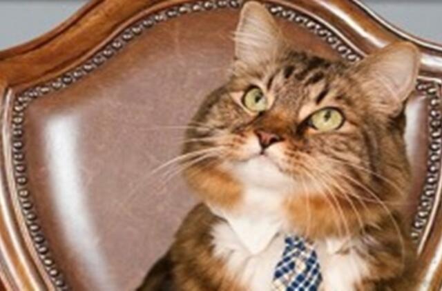 Garsiausi gyvūnai - politikai