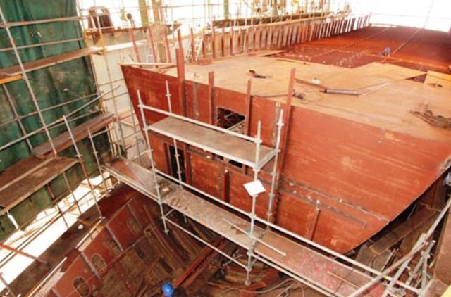 Miesto simboliui "Meridianui" ieškoma paramos